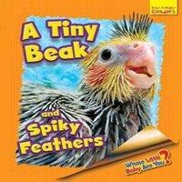 Ellen Lawrence Whose Little Baby Are You? A Tiny Beak & Spiky Feathers