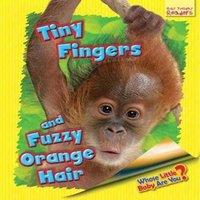 Ellen Lawrence Whose Little Baby Are You? Tiny Fingers & Fuzzy Orange Hair