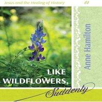 Anne Hamilton Like Wildflowers, Suddenly: Jesus & the Healing of History 01