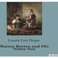 Laura Lee Hope Bunny Brown & His Sister Sue:Adventures of Bunny & Sue: A Tale