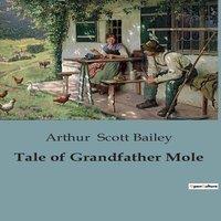 Arthur Scott Bailey Tale of Grandfather Mole:The Adventures & Challenges of a Blind