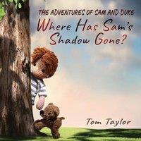 Tom Taylor Where Has Sam's Shadow Gone?: The Adventures of Sam & Duke