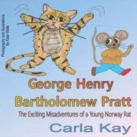 Kate Wells George Henry Bartholomew Pratt: The Exciting Misadventures of a