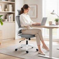 STILVORA Ergonomic Office Chair with Adjustable Headrest & Lumbar Support in Grey