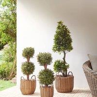 Wyld and Coco Set of 3 Brown PE Rattan Round Plant Baskets with Handles