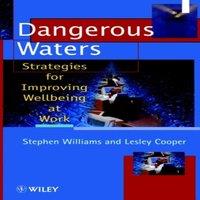 Steve Williams Dangerous Waters: Strategies for Improving Wellbeing at Work