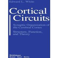 White Cortical Circuits : Synaptic Organization of the Cerebral Cortex