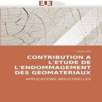 TBD Contribution a l" etude de l" endommagement des geomateriaux