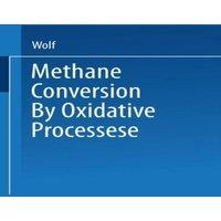 WOLF Methane Conversion by Oxidative Processes : Fundamental and
