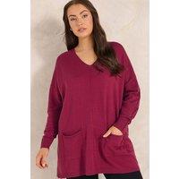 Evans Women's Seam Detail Jumper in Burgundy | Size: 16