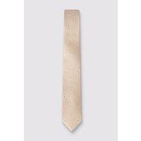 Antique Rogue Men's Paisley Tie in Beige