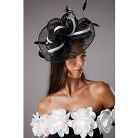 Coast Women's Loop & Feather Detail Fascinator in Mono