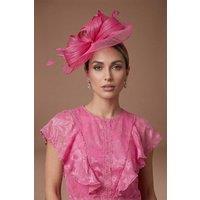 Coast Women's Loop & Feather Detail Fascinator in Berry