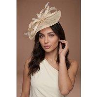 Coast Women's Loop & Feather Upturn Disc Fascinator in Ivory