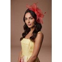 Coast Women's Structured Mesh Bow Flat Fascinator in Red