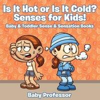 Baby Professor Is it Hot or Is it Cold? Senses for Kids - Baby Toddler Sense