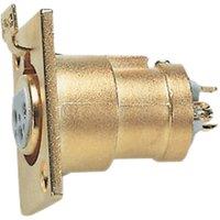 Electrovision 3Pin Xlr Chassis Socket Gold