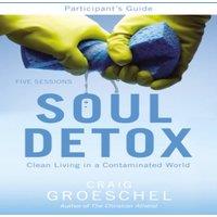 Craig Groeschel A Soul Detox Bible Study Participant's Guide: Clean Living in a