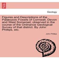 John Phillips Figures & Descriptions of the Palaeozoic Fossils of Cornwall