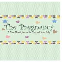 Peter James The Pregnancy : A Nine Month Journal for You & Your Baby
