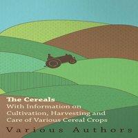 Various The Cereals - With Information on Cultivation, Harvesting & Care