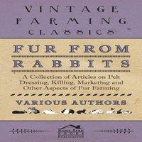 Various Authors Fur from Rabbits - A Collection of Articles on Pelt Dressing