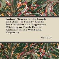 Various Animal Tracks in the Jungle & Zoo - A Handy Guide for Children