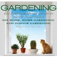 Brian Adams Gardening: Air-Cleaning House Plants to Purify Your Home - DIY