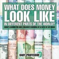 Baby Professor What Does Money Look Like In Different Parts of the World? - Money