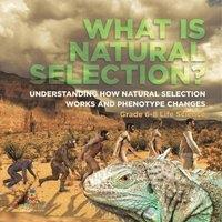 Baby Professor What is Natural Selection? Understanding How Natural Selection