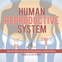 Baby Professor Human Reproductive System How the Male & Female Reproductive