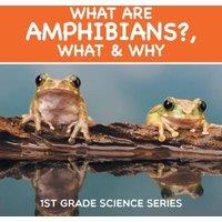 Baby Professor What Are Amphibians?, What Why : 1st Grade Science Series