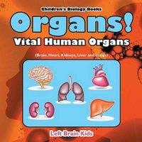 Left Brain Kids Organs Vital Human Organs (Brain, Heart, Kidneys, Liver and