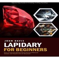John Davis Lapidary for Beginners: Step by Step Guide to Tumbling, Cutting