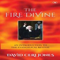 David Jones The Fire Divine: An Introduction To The Evangelical Revival