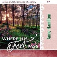 Anne Hamilton Where His Feet Pass: Jesus & the Healing of History 04 Paperback