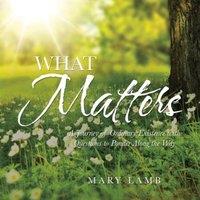 Mary Lamb What Matters: A Journey of Ordinary Existence with Questions to