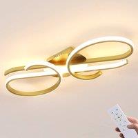 Pheashine Modern Ceiling Light Gold 55CM Stepless Dimming with Remote Control