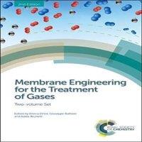 Royal Society of Chemistry Membrane Engineering for the Treatment of Gases : Two-volume Set