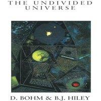 David Bohm The Undivided Universe: An Ontological Interpretation of Quantum