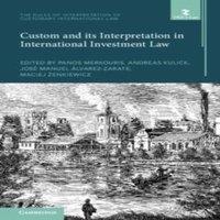 Cambridge University Press Custom & its Interpretation in International Investment Law