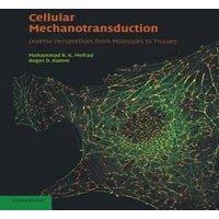 Cambridge University Press Cellular Mechanotransduction: Diverse Perspectives from Molecules