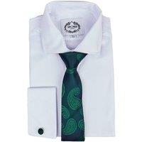 XPOSED Men's Paisley Print Necktie in Green