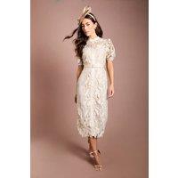 Coast Women's Satin Lace Puff Sleeve Midi Dress in Champagne | Size: 16