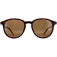 HUGO Men's Round Dark Havana Brown Sunglasses