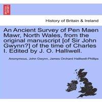 Anonymous An Ancient Survey of Pen Maen Mawr, North Wales, from the original
