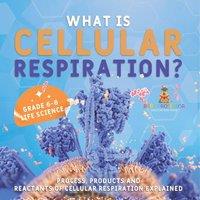 Baby Professor What is Cellular Respiration? Process, Products & Reactants of