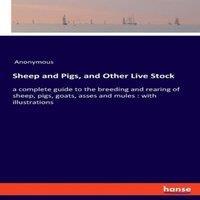 Anonymous Sheep & Pigs, & Other Live Stock:a complete guide to the