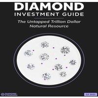 Steve King Diamond Standard's Diamond Investment Guide 2022: The Untapped