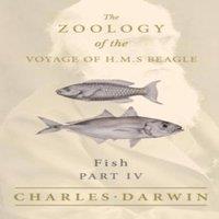 Charles Darwin Fish - Part IV - The Zoology of the Voyage of H.M.S Beagle ; Under